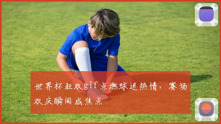 世界杯狂欢gif点燃球迷热情，赛场欢庆瞬间成焦点