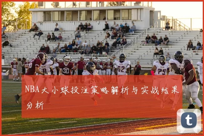 NBA大小球投注策略解析与实战结果分析