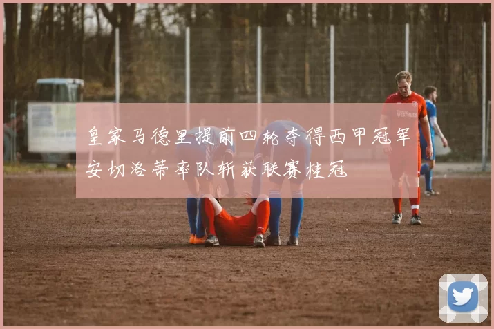 皇家马德里提前四轮夺得西甲冠军安切洛蒂率队斩获联赛桂冠